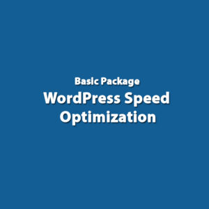 Basic Package - WordPress Speed Optimizaiton